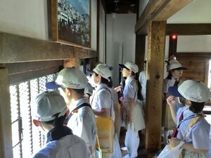 250604matsumotojo3IMG_8508.jpg