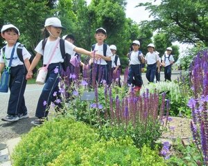 250613ensoku12IMG_0396.jpg