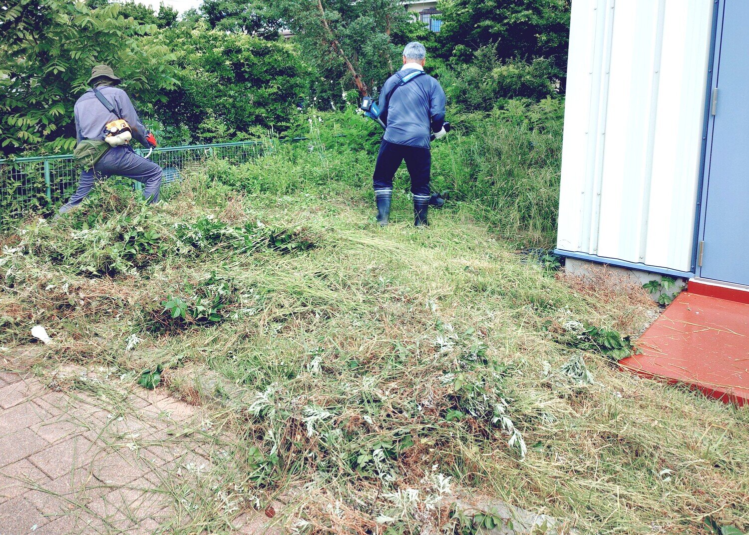 20260606_091253462 - コピー.jpg
